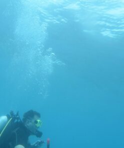 Zonman DSLR Camera Univeral Waterproof Underwater Housing Case Pouch Bag for Canon Nikon Sony Pentax Brand Digital SLR Cameras Transparent 31 61NS5Vg kNL