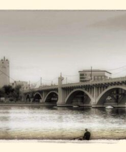 Understanding Exposure, Fourth Edition: How to Shoot Great Photographs with Any Camera 17 61NTCy6bnL