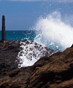 Alternative view of Understanding Exposure, Fourth Edition: How to Shoot Great Photographs with Any Camera