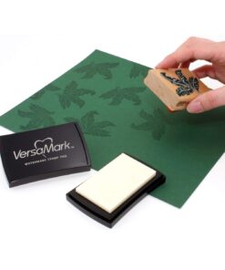 Tsukineko VM000001 Full-Size VersaMark Pigment Inkpad, 3-Inch X 2-Inch, Clear 1 21 61NZm3UxReL