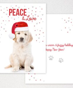 Canopy Street Labrador Love Holiday Card Pack / 25 Cards And Envelopes Pack/Festive Santa Hat Puppy Design With Greeting Inside/Dog Christmas And New Year Cards 17 61NbRtEb98L