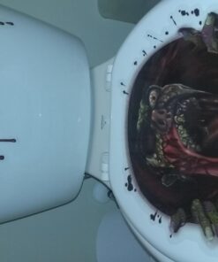 Amscan Halloween Zombie Scream Dripping Blood Toilet Topper Scene Setter Decoration Grabber Vinyl Cover 1 20 61NgMusg L
