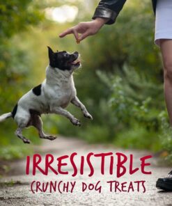 Fruitables Skinny Mini Dog Treats – Healthy Treats for Dogs – Low Calorie Training Treats – Free of Wheat, Corn and Soy – Apple Bacon – 5 Ounces 5 Ounce (Pack of 1) 22 61NiYenQj L