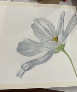 Caran d'Ache Luminance 6901 Clr Pncl Set 76 Artist Rng Pencil Set 54 61NijIuPzhL