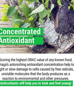 Sayan Siberian Raw Coarse Chaga Powder 4 Oz (113g) Wild Harvested Mushroom Tea, Powerful Adaptogen Antioxidant Supplement for Immune System and Digestive Health Chaga Coarse Powder 4 Ounce (Pack of 1) 17 61NiulJ51pL