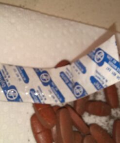 New Chapter Women's Multivitamin 50 Plus for Cellular Energy, Heart & Immune Support with 20+ Nutrients + Astaxanthin - Every Woman's One Daily 55+, Gentle on The Stomach, 72 Count 72 Count (Pack of 1) 29 61Njwi0cFCL 1