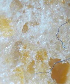 Andonstar 5 inch Screen 1080P Digital Microscope HDMI Microscope for Circuit Board Repair Soldering Tool ADSM302 49 61Nl9SJ1AtL