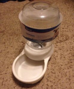 Petmate Replendish Automatic Gravity Waterer for Cats and Dogs, BPA-Free, No Batteries Required, Includes Charcoal Filter, 1 Gallon, Made in USA Silver 1 GAL 55 61NlnxxcGSL