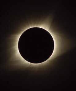 ZOMEI Heavy Duty Camera Tripod Travel Z818 Aluminium Alloy Monopod with 360 Panorama Ball Head Quick Release Plate(Orange) Orange 32 61NmfTUSzcL