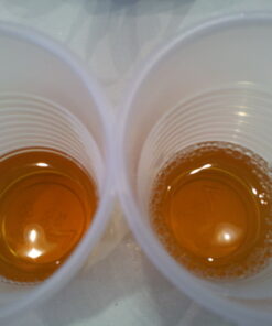 Ito En Oi Ocha Unsweetened Bold Green Tea, 16.9 Fluid Ounce (Pack of 12), Unsweetened, Low Calorie 16.9 Fl Oz (Pack of 12) 17 61NpsrgCEGL