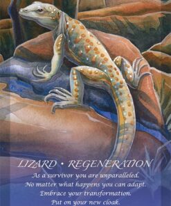 Spirit of the Animals Oracle 49 61O CYOhXL