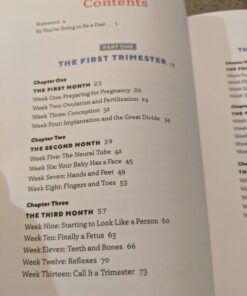 We're Pregnant! The First Time Dad's Pregnancy Handbook 42 61O2d6UgJL