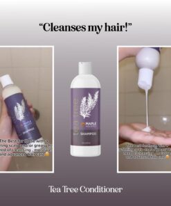 Tea Tree Shampoo for Oily Hair - Paraben and Sulfate Free Clarifying Shampoo for Build Up and Dry Scalp with Tea Tree Oil for Hair - Purifying Aromatherapy Tea Tree Oil Shampoo for Greasy Hair 18 61OGPXGAOoL