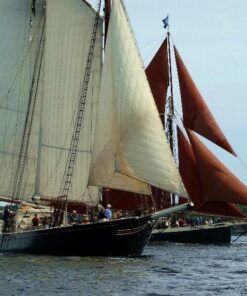 SanDisk Extreme Pro 32GB SDHC UHS-I Card (SDSDXXG-032G-GN4IN) 25 61OKpfsxGWL