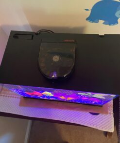 Fish Mate F14 Automatic Fish Feeder for Aquarium or Fish Tank for Vacation or Daily Use - Sits on Hood of Tank or Will Clip to Side with Included Clamps - Serves up to 14 Meals 36 61OMyGHsvgL