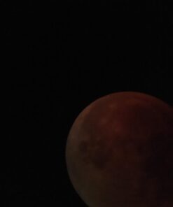 Celestron – Ultima 80 Angled Spotting Scope – 20-60x Zoom Eyepiece – Multi-Coated Optics for Bird Watching, Wildlife, Scenery and Hunting – Waterproof and Fogproof – Includes Soft Carrying Case Ultima 80 - 45° Spotting Scope 43 61OShfo8HwL