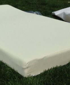 ZINUS 5 Inch Memory Foam Mattress, Fiberglass Free, Bunk Bed, Trundle Bed, Day Bed Compatible, Twin, White 54 61OTwIGuLgL