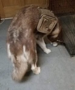 OneTigris Dog Pack Hound Travel Camping Hiking Backpack Saddle Bag Rucksack for Medium & Large Dog (Brown, Large) 11.4"L x 8.7"W x 2.4"H Brown 55 61OWTcf6p8L