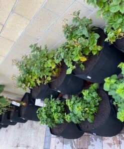 VIVOSUN 5-Pack 15 Gallon Plant Grow Bags, Heavy Duty Thickened Nonwoven Fabric Pots with Handles Black 15 Gallons 44 61OZ9ofx6ZL