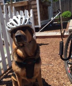 Springer Hands Free Dog Leash Bike Attachment Kit -Pet Exerciser for Running, Walking Jogging - Universal Fit for Bicycles - Quick Release, 18-Inch Rope 19 61ObveJuCbL