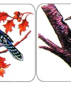 Eureka Bird Stickers Teacher Supplies for School Children, 1"W x 1"H, 120pc