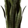 Nearly Natural, Green 4855 35in. Sansevieria with Black Planter