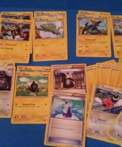 Pokemon TCG: XY Trainer Kit-Pikachu Libre and Suicune 2-Player Learn-to-Play Set (Discontinued by Manufacturer) 14 61OjpDR026L