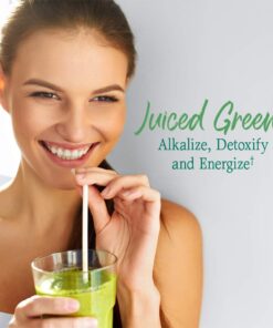 Alternative view of Garden of Life Super Greens Powder Smoothie & Mix, Probiotics & Digestive Enzymes for Digestive Health, Organic Superfoods Nutrition Fruit and Vegetables for Women & Men Energy, Original, 60 Servings 60 Servings (Pack of 1)