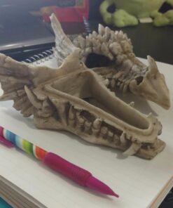 Snarling Magical Dragon Skull Treasure Trinket Box 38 61On3f02qnL