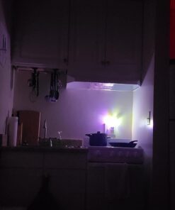 Rienar Sensor Led Night Light, Color Changing Plug-in LED Mushroom Dream Bed Lamp 39 61P23XoFvVL