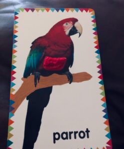 My First Touch and Feel Picture Cards: Animals (My First Board Books) 61 61P8xLnB1BL