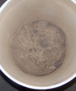 Oneida Air Systems Dust Deputy Deluxe Cyclone Separator Kit with Collapse-Proof Buckets for Wet/Dry Shop Vacuums (DD Deluxe 5-Gal) DD Deluxe 5-Gal 37 61PApQdNVgL