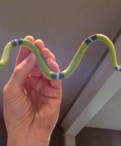 Rhode Island Novelty 14" Rain Forest Snakes | Assorted Designs | Set of 12 34 61PJna9Z0sL