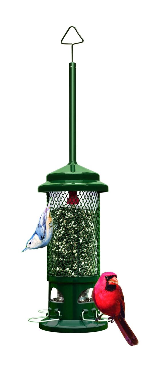 Squirrel Buster Standard Squirrel-proof Bird Feeder w/4 Metal Perches, 1.3-pound Seed Capacity, garden green