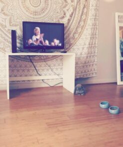 Living World Ergonomic Food Dish, for Small Animals, Blue, Small, 4.22oz, 61682A1 30 61PRv0 RgL