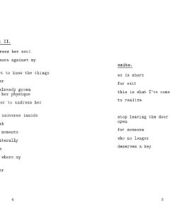 Whiskey Words & a Shovel II 22 61PS92JU HL 1