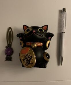 Black Maneki Neko Money Lucky Cat Chinese Japanese Statue 9 61PZMkTQUJL
