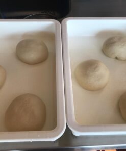 DoughMate Artisan Dough Tray Kit 27 61PbEdMC3L