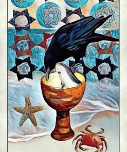 Crow Tarot 33 61PfdaL0XcL