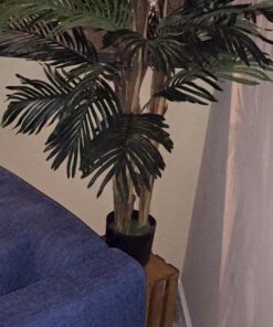 Nearly Natural 5283 Robellini Palm Silk Tree, 5-Feet, Green 60in. 15 61Pfq8mBKOL