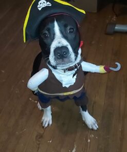 NACOCO Pet Dog Costume Pirates of The Caribbean Style (Medium) Medium Brown 36 61PjJ2wz1JL