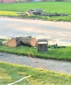 Greenworks 40V 16" Brushless Cordless Chainsaw (Great For Tree Felling, Limbing, Pruning, and Firewood / 75+ Compatible Tools), Tool Only 16" (Tool Only) Gen 1 37 61PyGQVY DL