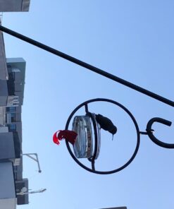 Mosaic Birds Hummble Basic Bird Feeder, M045-200, 3.4 Ounce Capacity, Clear, 1 Piece 36 61Q1hOvEKvL