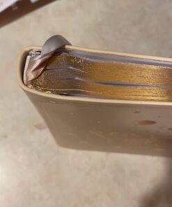 Law of Attraction Planner - Undated Deluxe Weekly, Monthly Planner, a 12 Month Journey to Increase Productivity & Happiness - Life Organizer, Gratitude Journal, and Stickers B5 Size Vanilla Butterfly Moon 45 61Q49HO1zCL 1