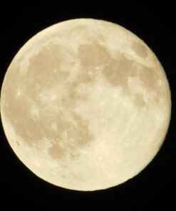 Nikon COOLPIX L840 Digital Camera with 38x Optical Zoom and Built-In Wi-Fi (Red) Red Base 55 61QDlGhrfL