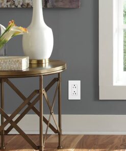 Lutron Claro 15 Amp Duplex Outlet, CAR-15-BL, Black 1 Pack Receptacle 12 61QFRsIPwzL