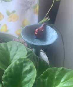 G & F Products MiniGardenn 10027 Fairy Garden Polyresin Miniature, Cardinal Birdbath Pick 30 61QQioE82QL 3