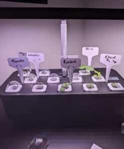 Indoor Garden Hydroponics Growing System, DUESI Upgrade 12 Pods Plant Germination Herb Kit with LED Grow Light, Hydrophonic Planter Grower Harvest Vegetable Lettuce for Hydroponic Gardeners (12 Pods) 51 61QXgRJmSWL