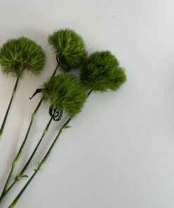 Lifetime Height Adjustable Craft Camping and Utility Folding Table 44 61QifJJP2WL