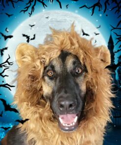 Pet Krewe Large Dog Lion Mane Halloween Costume – Fits Neck Size 13”- 32”- Lion Mane for Small Dogs – Ideal for Halloween, Dog Birthday, Dog Cosplay, Dog Outfits, Pet Clothes 31 61QjcM2uwaL